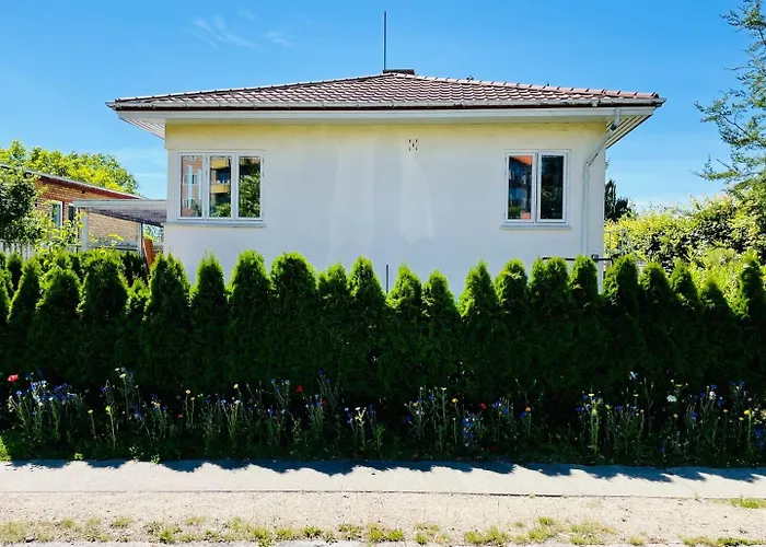 Charmerende Kaelderlejlighed I Apartament